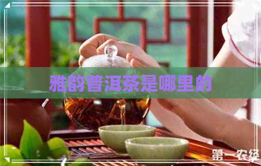 雅韵普洱茶是哪里的