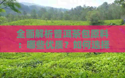 全面解析普洱茶包原料：哪些优质？如何选择适合您的茶叶？