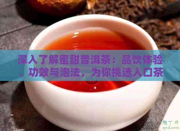 深入了解蜜甜普洱茶：品饮体验、功效与泡法，为你挑选入口茶的全面指南