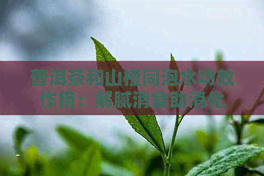 普洱茶和山楂同泡水功效作用：解腻消食助消化