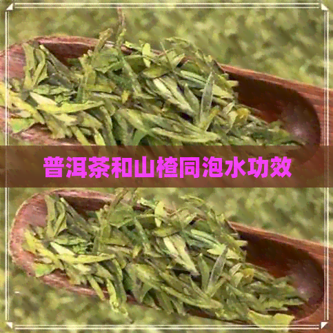 普洱茶和山楂同泡水功效