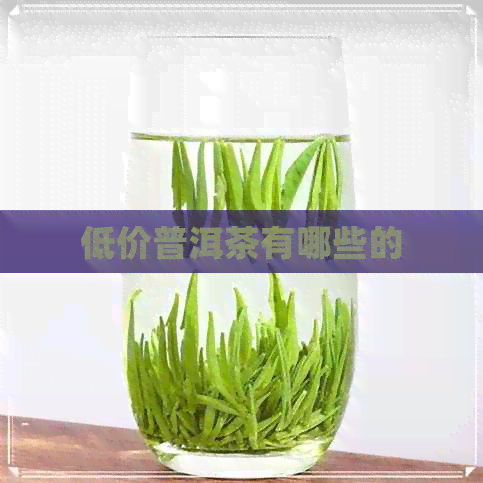 低价普洱茶有哪些的