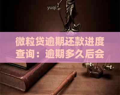 微粒贷逾期还款进度查询：逾期多久后会收到全部还款？