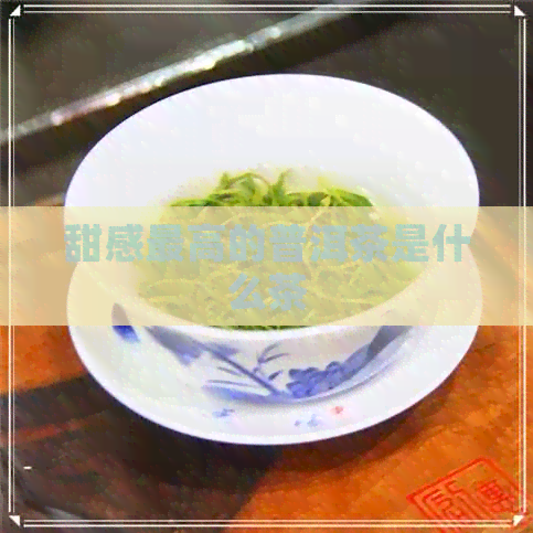 甜感更高的普洱茶是什么茶