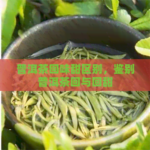 普洱茶回味甜区别，鉴别普洱茶回与回甜