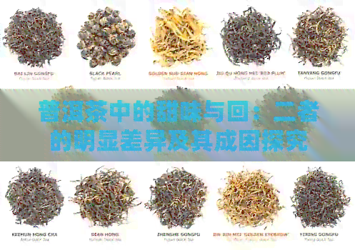 普洱茶中的甜味与回：二者的明显差异及其成因探究