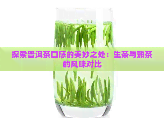 探索普洱茶口感的美妙之处：生茶与熟茶的风味对比