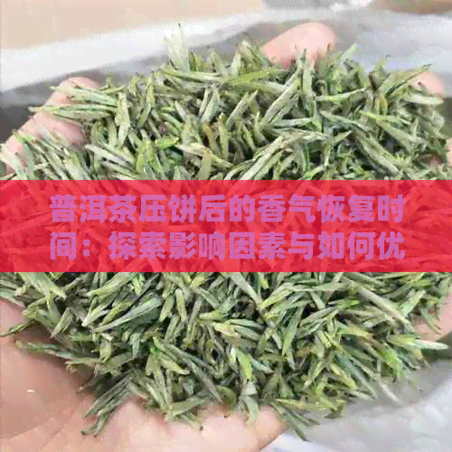 普洱茶压饼后的香气恢复时间：探索影响因素与如何优化冲泡体验