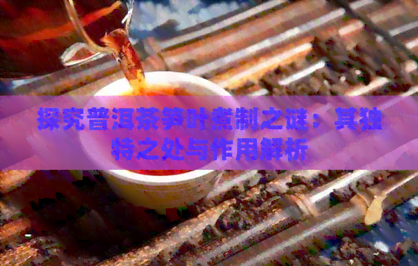 探究普洱茶笋叶煮制之谜：其独特之处与作用解析