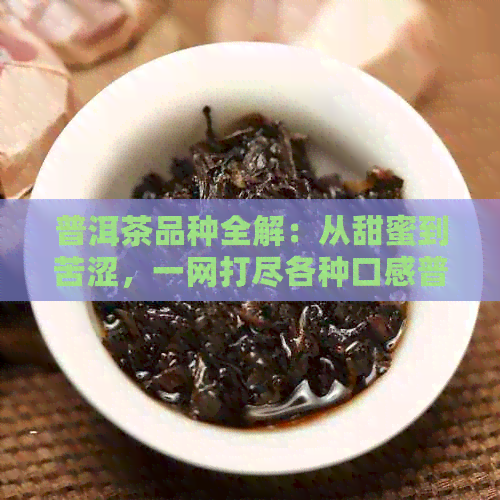 普洱茶品种全解：从甜蜜到苦涩，一网打尽各种口感普洱茶推荐