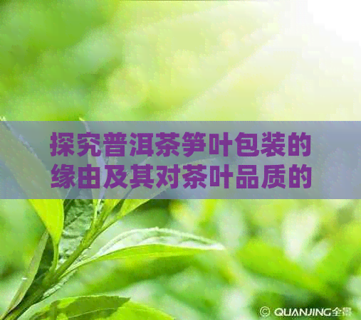 探究普洱茶笋叶包装的缘由及其对茶叶品质的影响：一篇全面解析