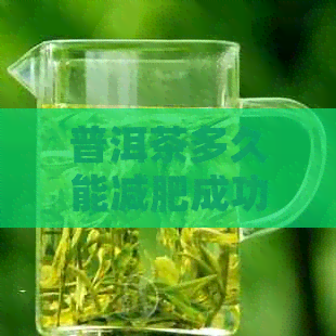 普洱茶多久能减肥成功喝：揭示饮用普洱茶与减肥成效之间的关系