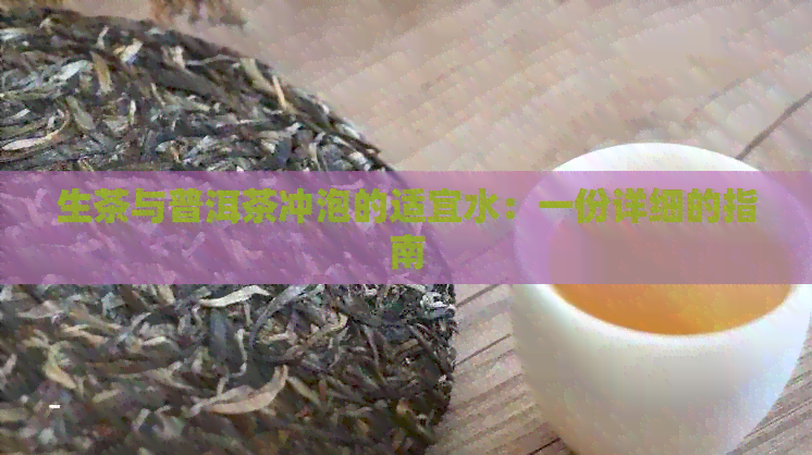 生茶与普洱茶冲泡的适宜水：一份详细的指南