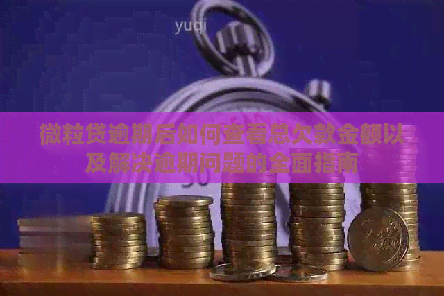 微粒贷逾期后如何查看总欠款金额以及解决逾期问题的全面指南