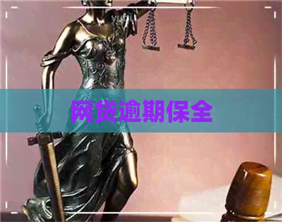 网贷逾期保全