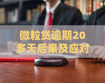 微粒贷逾期20多天后果及应对方法