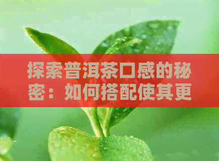 探索普洱茶口感的秘密：如何搭配使其更美味