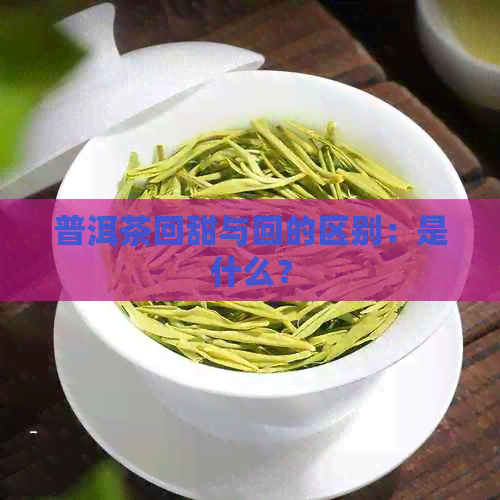 普洱茶回甜与回的区别：是什么？