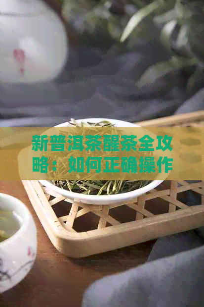 新普洱茶醒茶全攻略：如何正确操作，让茶叶味道更美味的关键步骤详解