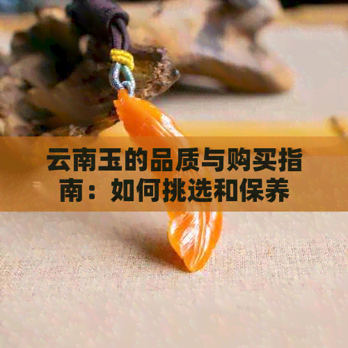 云南玉的品质与购买指南：如何挑选和保养