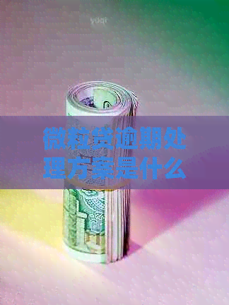 微粒贷逾期处理方案是什么？2020年的方案会有什么影响？