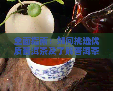 全面指南：如何挑选优质普洱茶及了解普洱茶的各种类型和品质