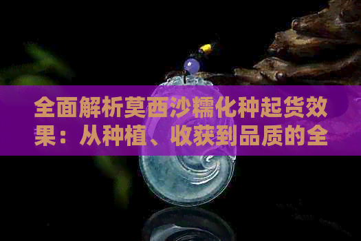 全面解析莫西沙糯化种起货效果：从种植、收获到品质的全方位了解