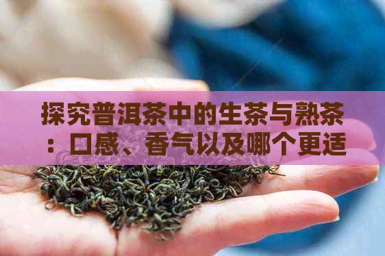 探究普洱茶中的生茶与熟茶：口感、香气以及哪个更适合你的口味