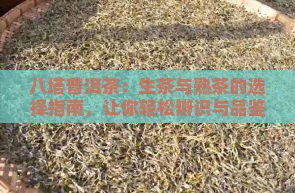 八塔普洱茶：生茶与熟茶的选择指南，让你轻松辨识与品鉴