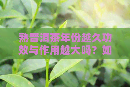 熟普洱茶年份越久功效与作用越大吗？如何选择年份适中的熟普洱茶？