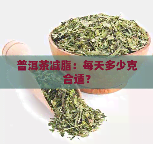 普洱茶减脂：每天多少克合适？