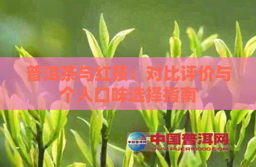 普洱茶与红茶：对比评价与个人口味选择指南