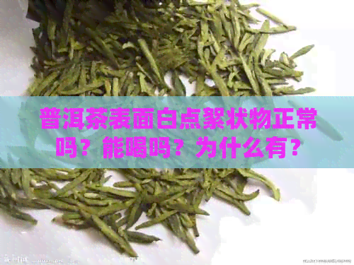 普洱茶表面白点絮状物正常吗？能喝吗？为什么有？