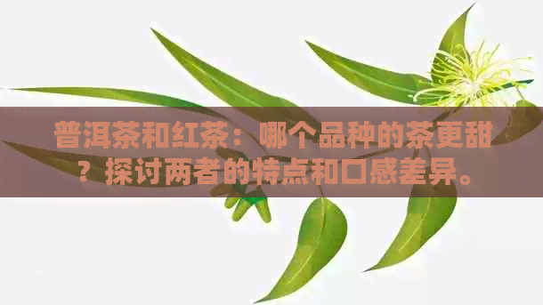 普洱茶和红茶：哪个品种的茶更甜？探讨两者的特点和口感差异。