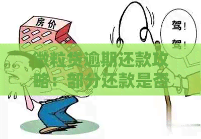 微粒贷逾期还款攻略：部分还款是否有效？如何确保效果？