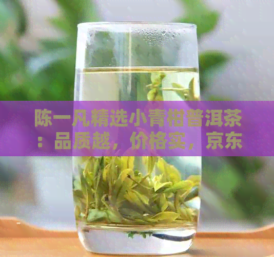 陈一凡精选小青柑普洱茶：品质越，价格实，京东热卖