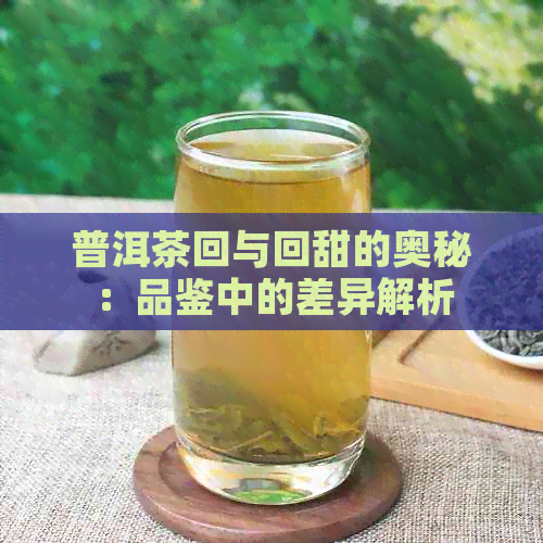 普洱茶回与回甜的奥秘：品鉴中的差异解析