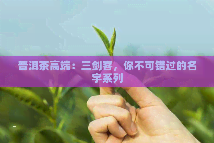 普洱茶高端：三剑客，你不可错过的名字系列