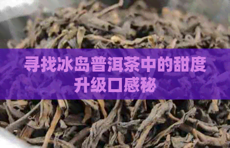 寻找冰岛普洱茶中的甜度升级口感秘