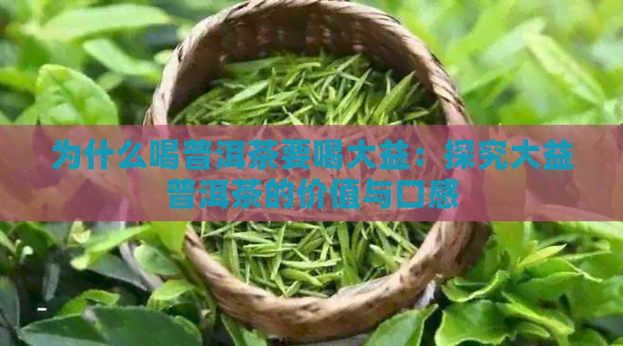 为什么喝普洱茶要喝大益：探究大益普洱茶的价值与口感