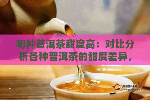 哪种普洱茶甜度高：对比分析各种普洱茶的甜度差异，找出最甜的一种。