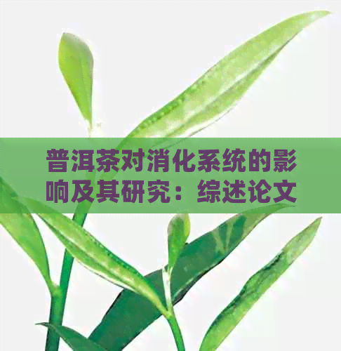 普洱茶对消化系统的影响及其研究：综述论文