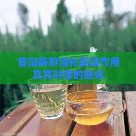 普洱茶的消化促进作用及其对健的益处