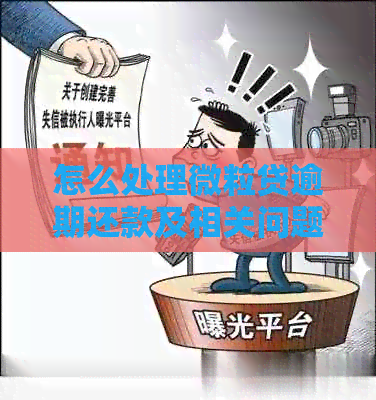 怎么处理微粒贷逾期还款及相关问题，包括人员和微信沟通