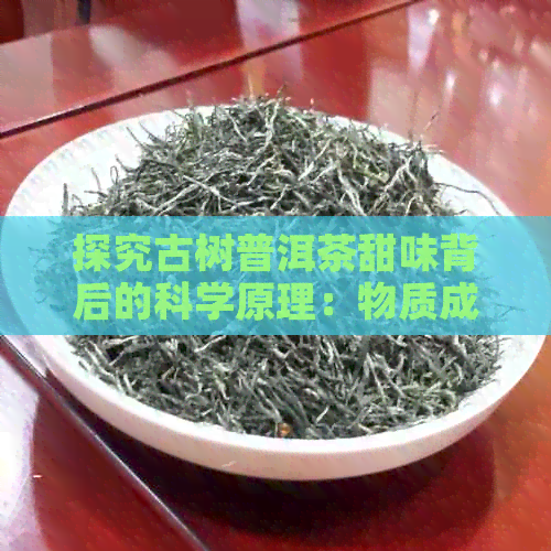 探究古树普洱茶甜味背后的科学原理：物质成分与制茶工艺的影响