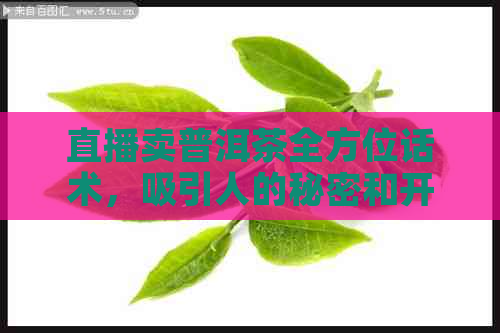 直播卖普洱茶全方位话术，吸引人的秘密和开场白技巧大公开