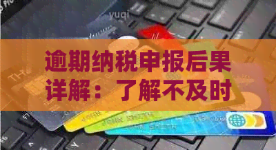 逾期纳税申报后果详解：了解不及时申报可能面临的法律风险与解决方案