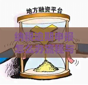 纳税逾期申报怎么办流程与手续