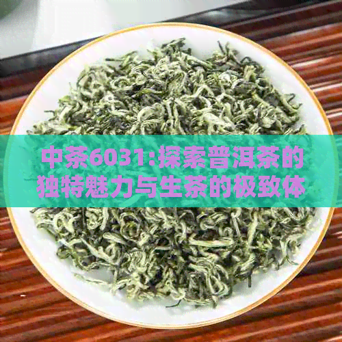 中茶6031:探索普洱茶的独特魅力与生茶的极致体验