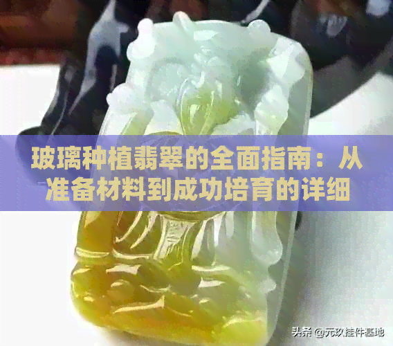 玻璃种植翡翠的全面指南：从准备材料到成功培育的详细步骤